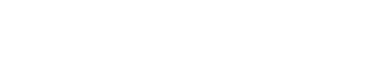 Bulkstream Terminal Operating System logo